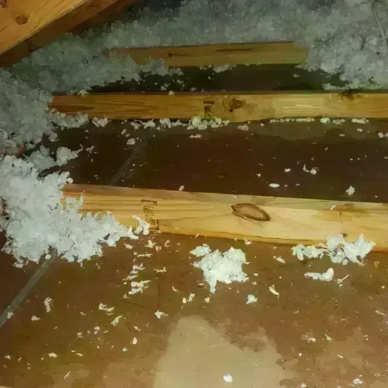 Attic Water Damage in Clive, IA